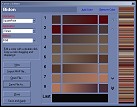 Color map editor